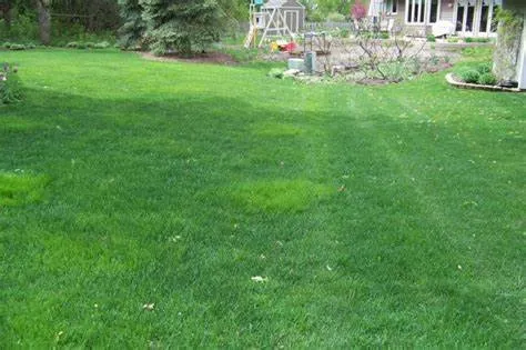 Expert yard maintenance with custom design across Miramar, FL - R&B Superior Landscaping and Tree Services