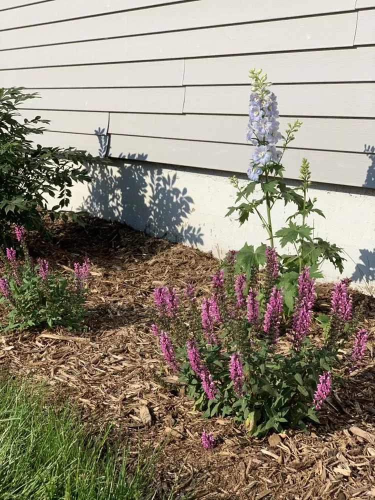 Professional yard maintenance in Loves Park, IL by R&B Yard Care and Maintenance