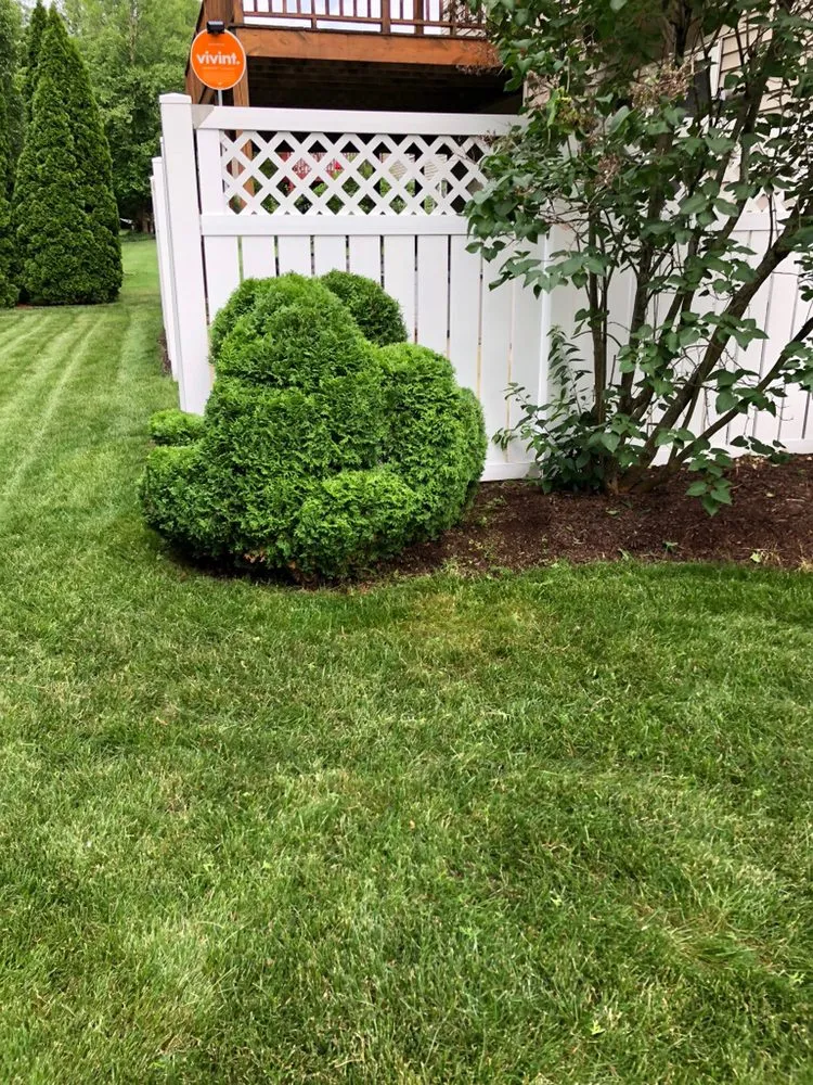 Affordable lawn mowing service in Loves Park, IL by R&B Yard Care and Maintenance