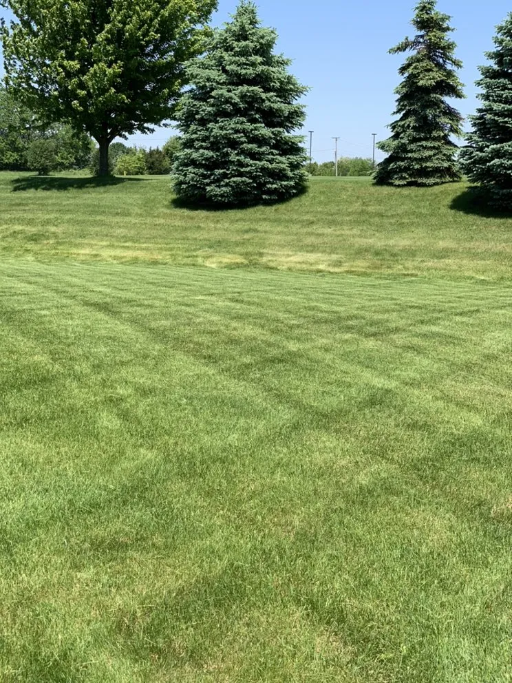 Trusted yard maintenance for residential properties in Loves Park, IL by R&B Yard Care and Maintenance