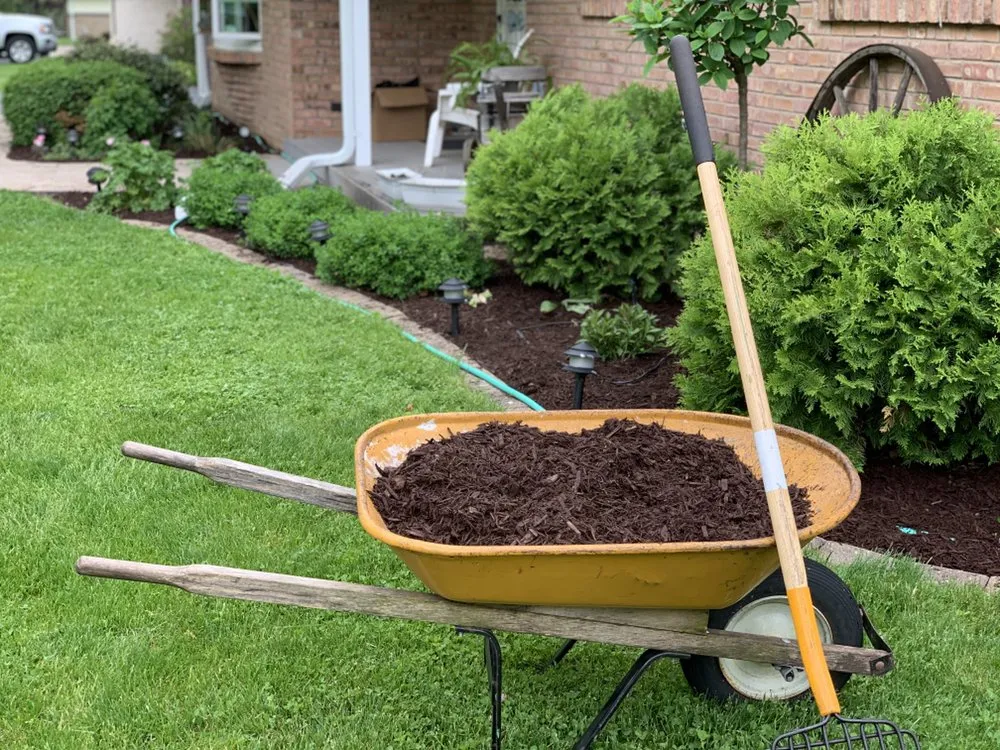 Top-rated landscaping services for year-round maintenance across Loves Park, IL - R&B Yard Care and Maintenance