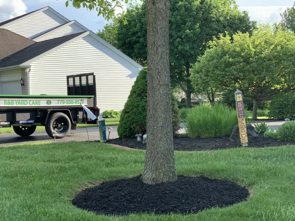 Top-rated yard cleanup service in Loves Park, IL by R&B Yard Care and Maintenance
