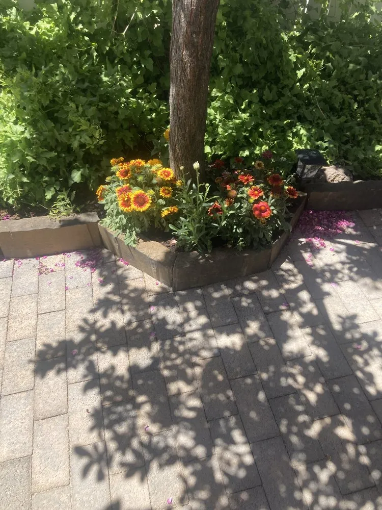 Expert yard maintenance near you across Elko, NV - Rba Precision Home Services