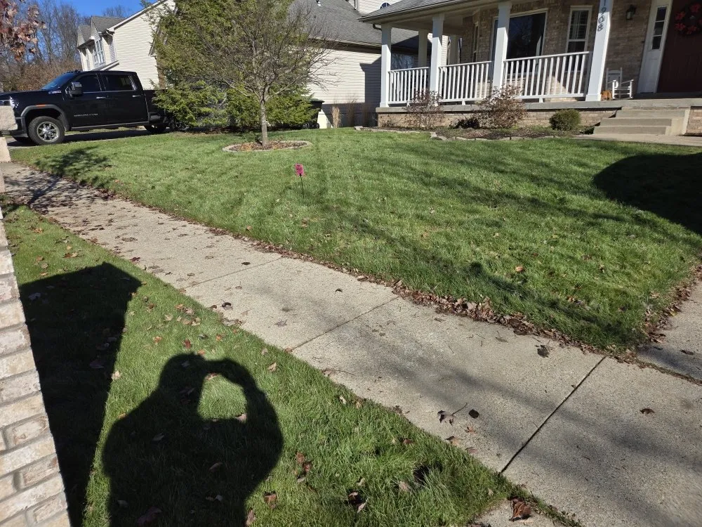 Reliable yard cleanup service experts serving Versailles, KY - Rbg fertilizer and weed control