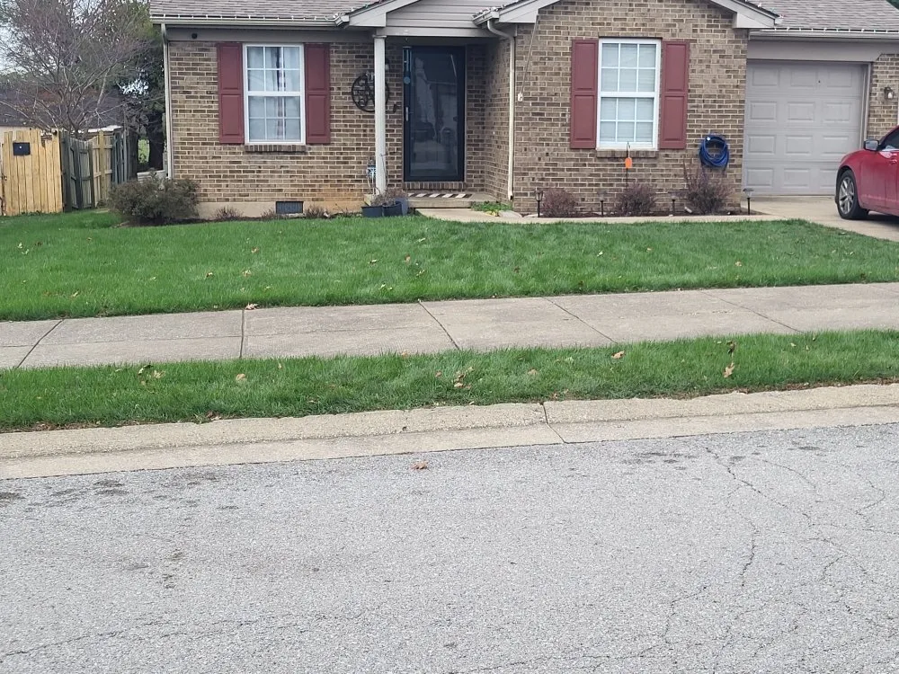 Affordable lawn mowing service for outdoor upgrades in Versailles, KY by Rbg fertilizer and weed control