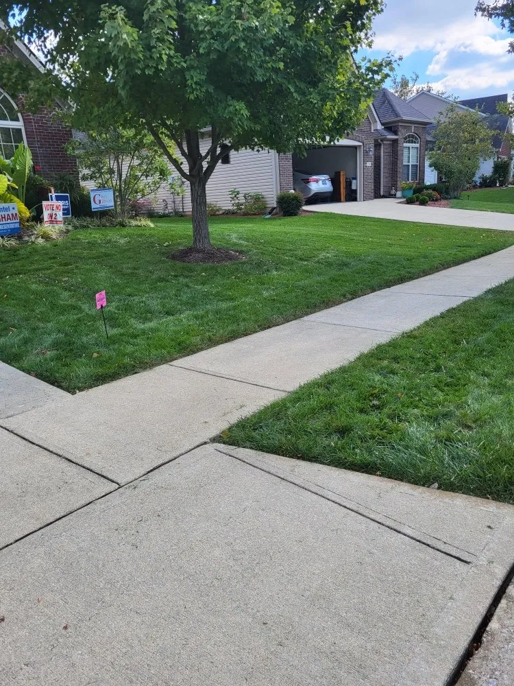 Trusted yard cleanup service in Versailles, KY by Rbg fertilizer and weed control