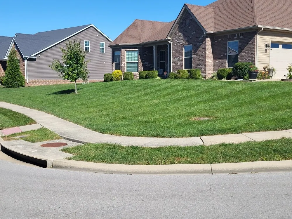 Professional lawn mowing service in Versailles, KY by Rbg fertilizer and weed control