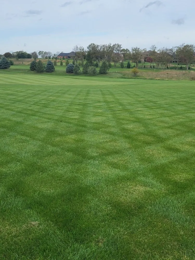 Reliable landscape design experts serving Versailles, KY - Rbg fertilizer and weed control