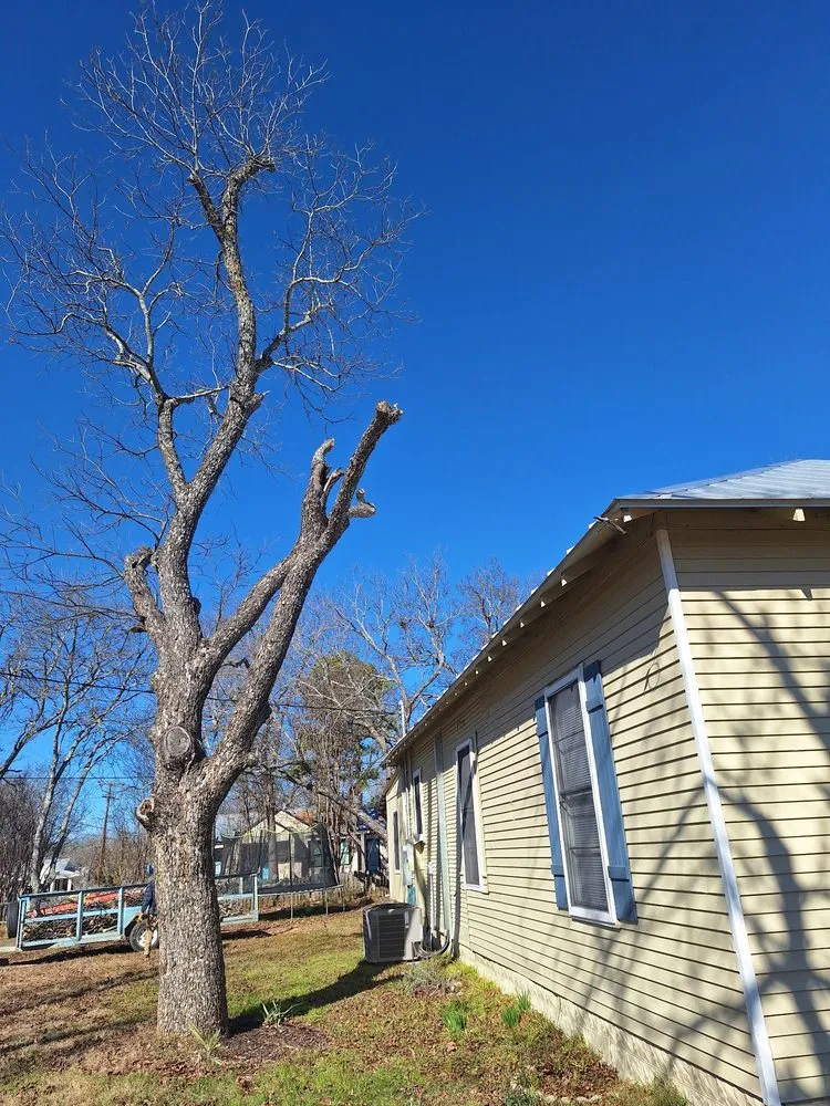 Professional lawn care service for beautiful yards in Georgetown, TX by RBJ Landscaping