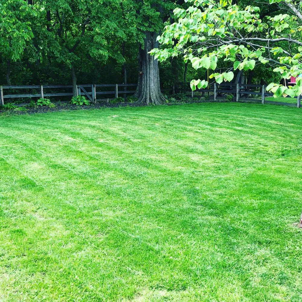 Local yard cleanup service in Fairfield, OH - RBP Enterprises