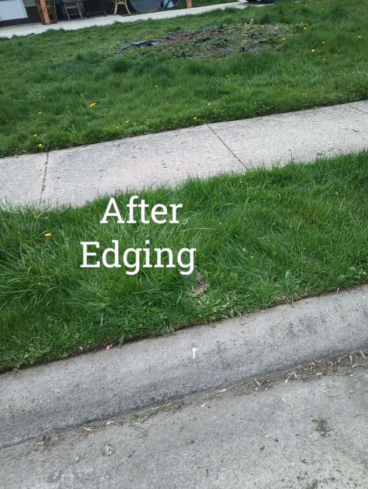 Trusted residential landscaping in Detroit, MI - RB's Lawn Care