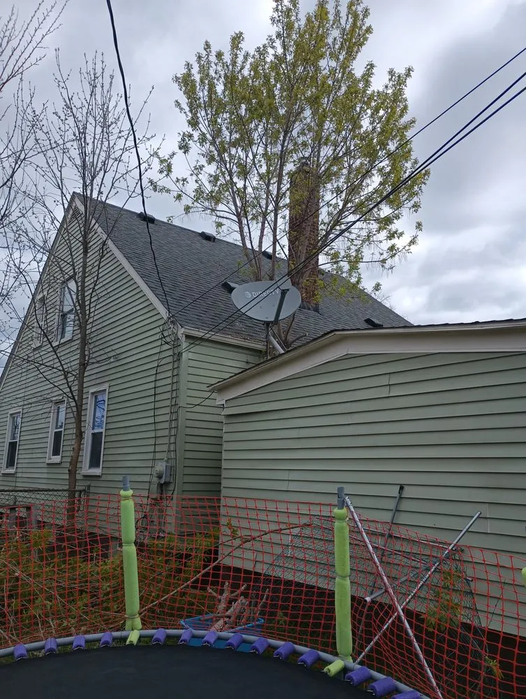 Expert yard cleanup service in Detroit, MI - RB's Lawn Care