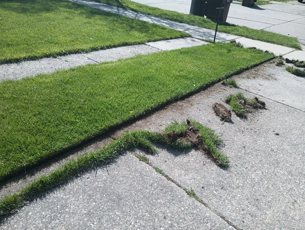 Custom yard cleanup service near you across Detroit, MI - RB's Lawn Care
