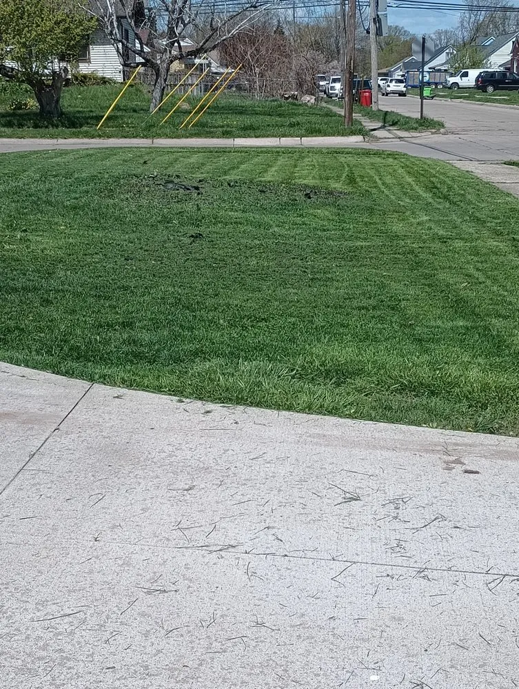 Reliable yard maintenance in Detroit, MI - RB's Lawn Care