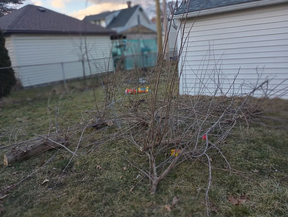 Custom landscaping services in Detroit, MI - RB's Lawn Care