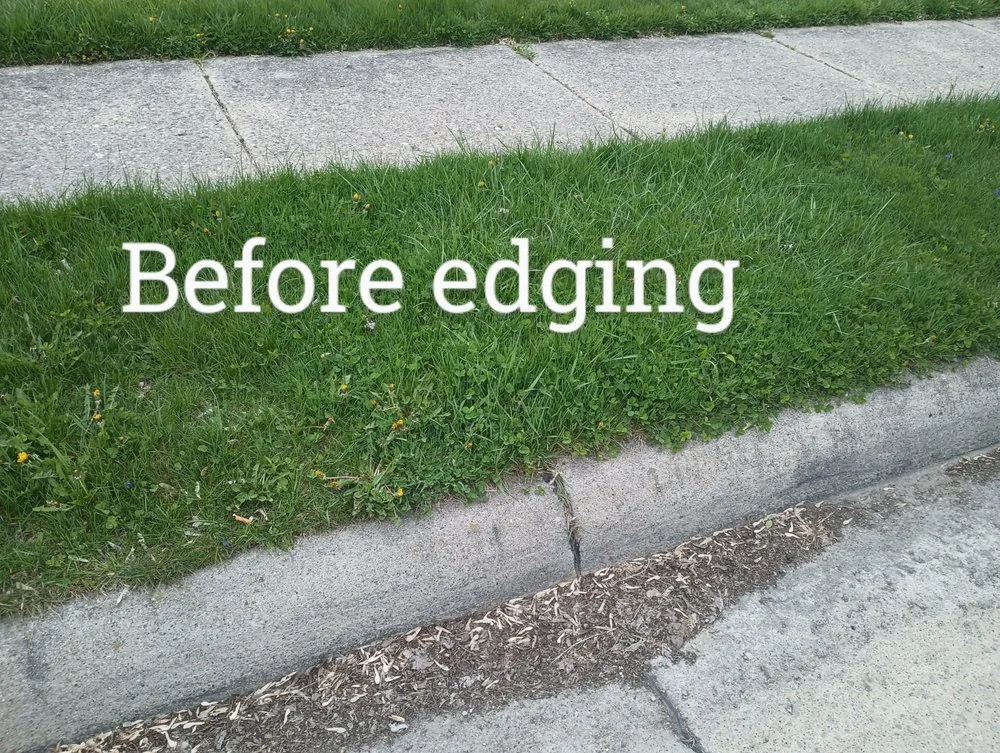 Professional outdoor landscaping in Detroit, MI by RB's Lawn Care