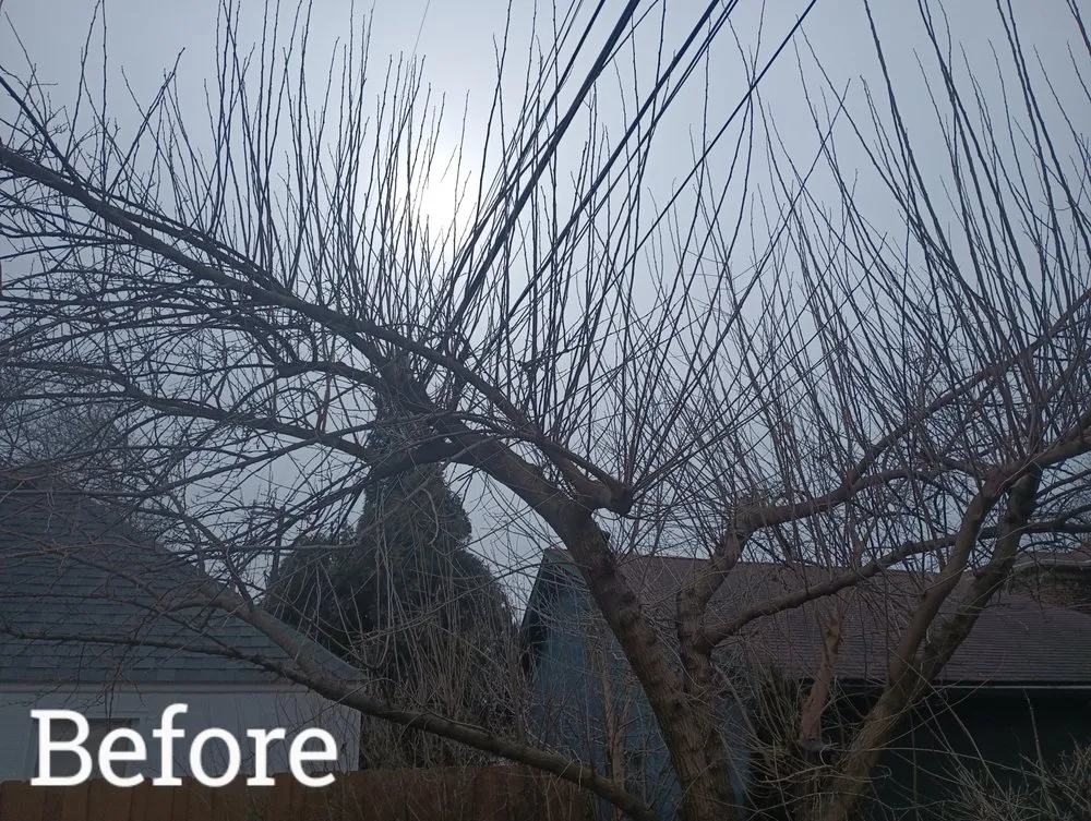 Local outdoor landscaping near you across Detroit, MI - RB's Lawn Care