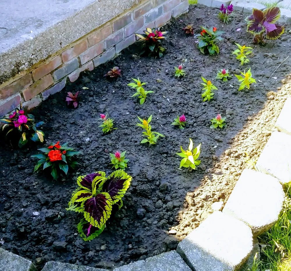 Custom lawn mowing service near you across Detroit, MI - RB's Lawn Care