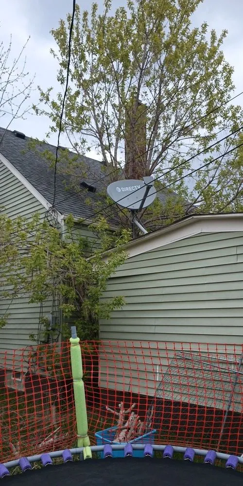 Local landscape installation in Detroit, MI by RB's Lawn Care