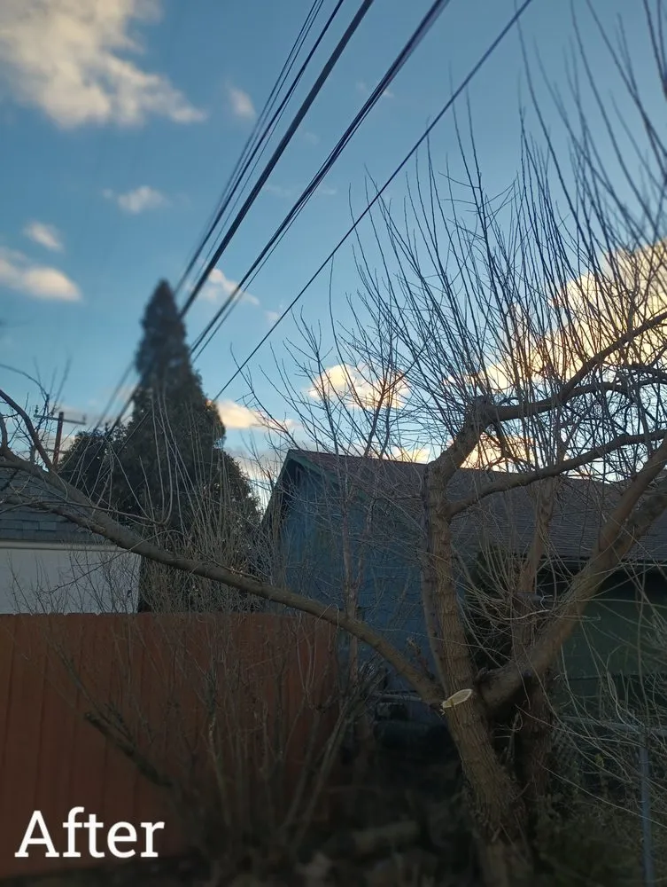 Expert outdoor landscaping experts serving Detroit, MI - RB's Lawn Care