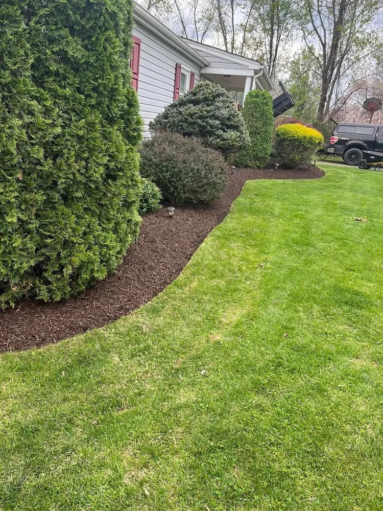 Expert lawn mowing service near you in Mount Crawford, VA by RC & Sons Lawn Care Services