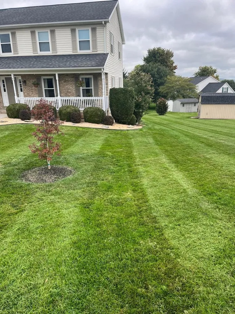 Top-rated yard maintenance in Mount Crawford, VA - RC & Sons Lawn Care Services