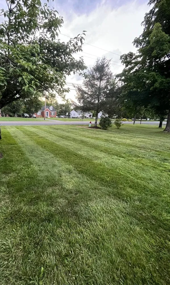 Trusted lawn care service for year-round maintenance across Mount Crawford, VA - RC & Sons Lawn Care Services