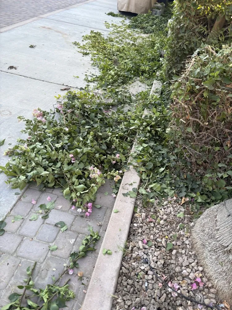 Expert yard maintenance in Coachella, CA by RC Broz Junk Removal