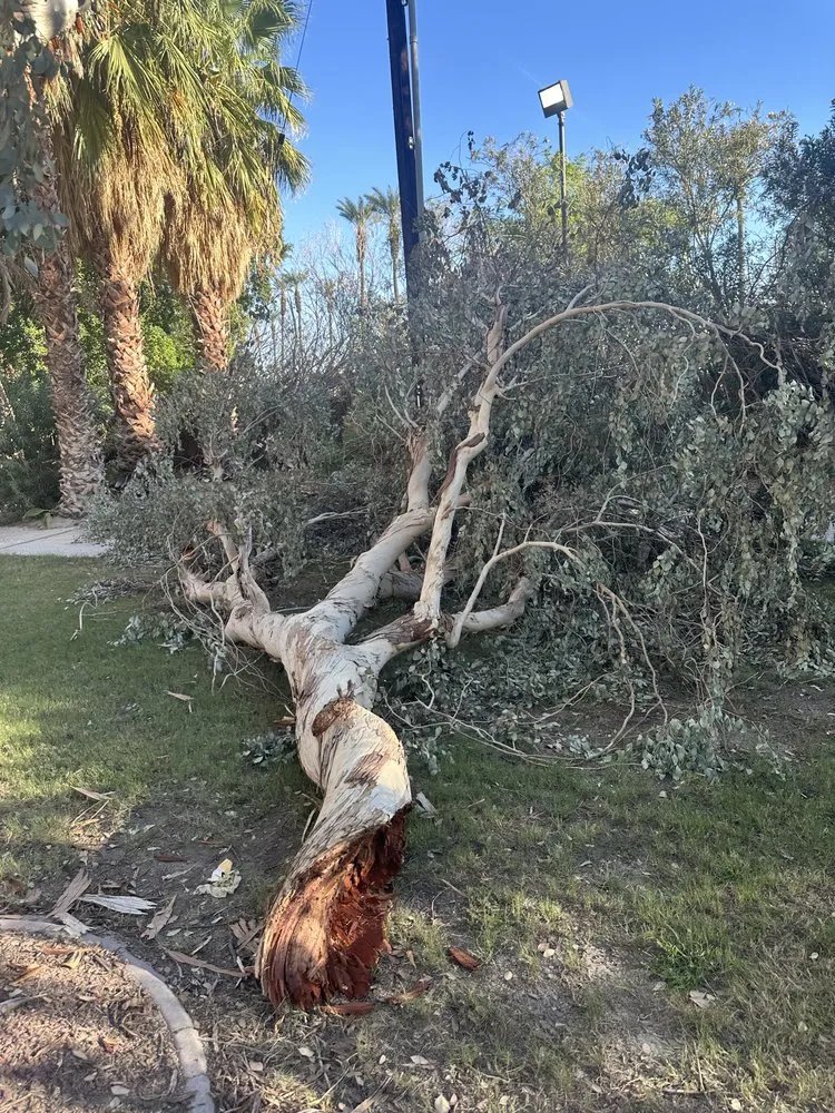 Custom outdoor landscaping experts serving Coachella, CA - RC Broz Junk Removal