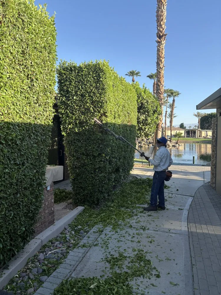 Custom landscape design in Coachella, CA - RC Broz Junk Removal