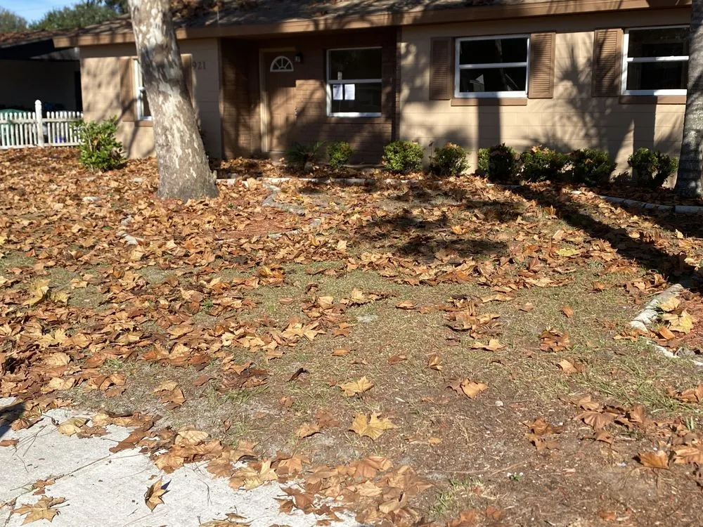 Top-rated residential landscaping in Winter Park, FL by Rc Coleman Lawn Care