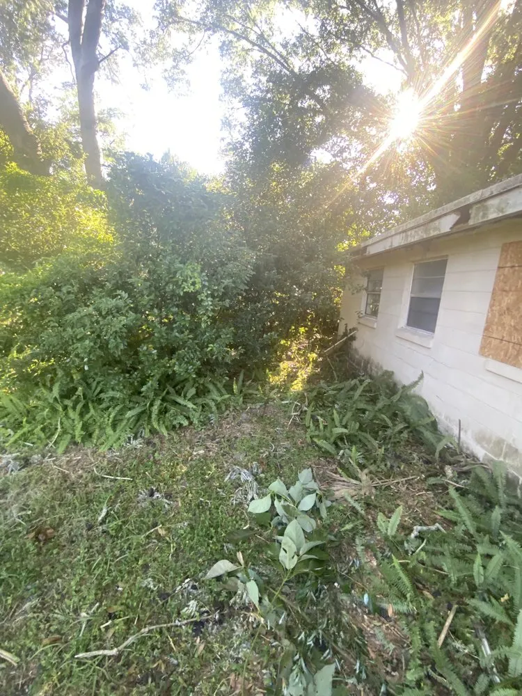 Expert lawn care service experts serving Winter Park, FL - Rc Coleman Lawn Care