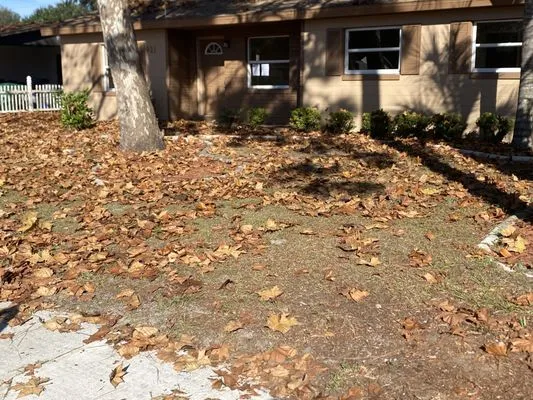 Rc Coleman Lawn Care Logo