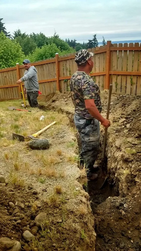 Expert yard cleanup service for year-round maintenance across Maltby, WA - RC Contractors