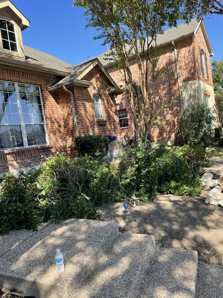 Top-rated outdoor landscaping in Plano, TX by RC Custom Landscape & Stone Work