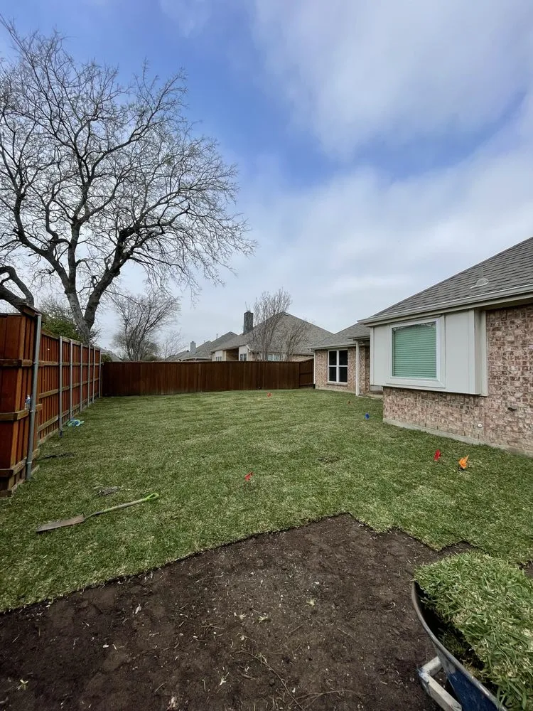 Professional lawn care service in Plano, TX by RC Custom Landscape & Stone Work