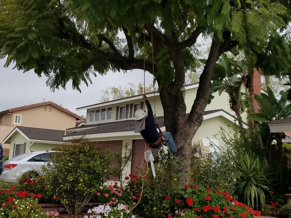 Reliable outdoor landscaping for residential properties in Rialto, CA by Rc Green Touch