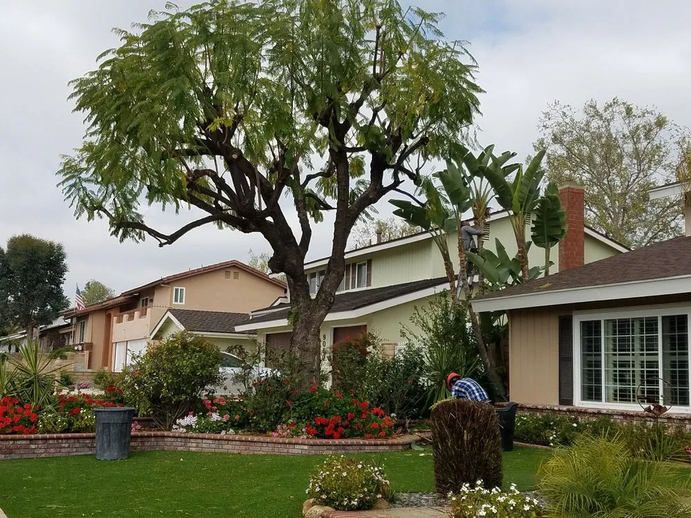 Reliable garden landscaping in Rialto, CA - Rc Green Touch