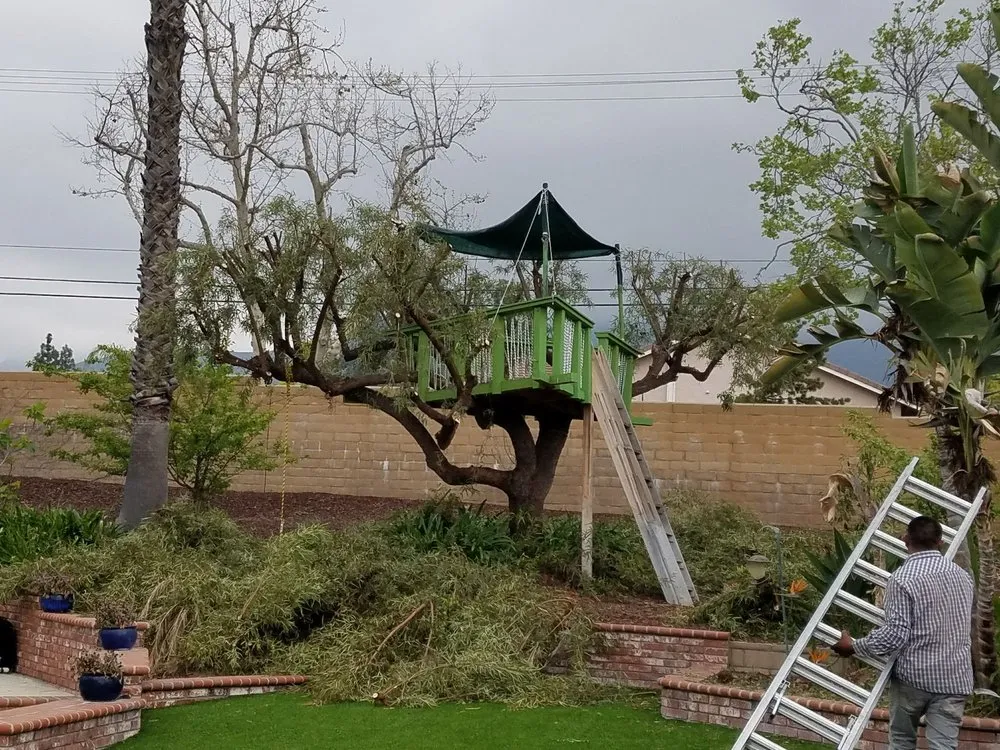 Custom garden landscaping in Rialto, CA by Rc Green Touch