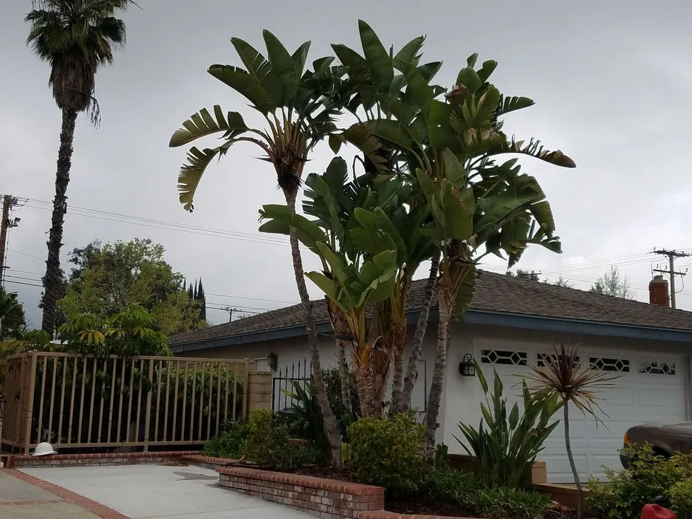 Custom yard cleanup service in Rialto, CA - Rc Green Touch