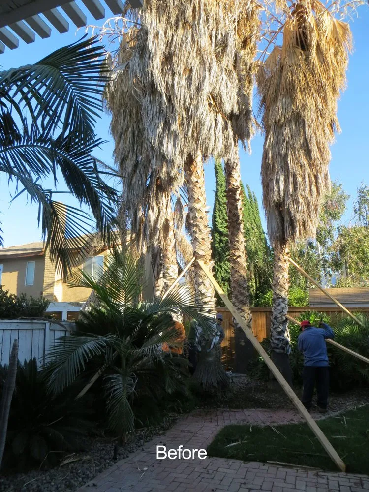 Custom outdoor landscaping in Rialto, CA - Rc Green Touch