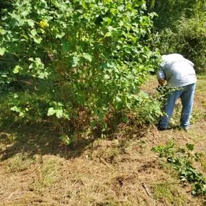 Reliable lawn care service experts serving Cut and Shoot, TX - Rc Handyman Services