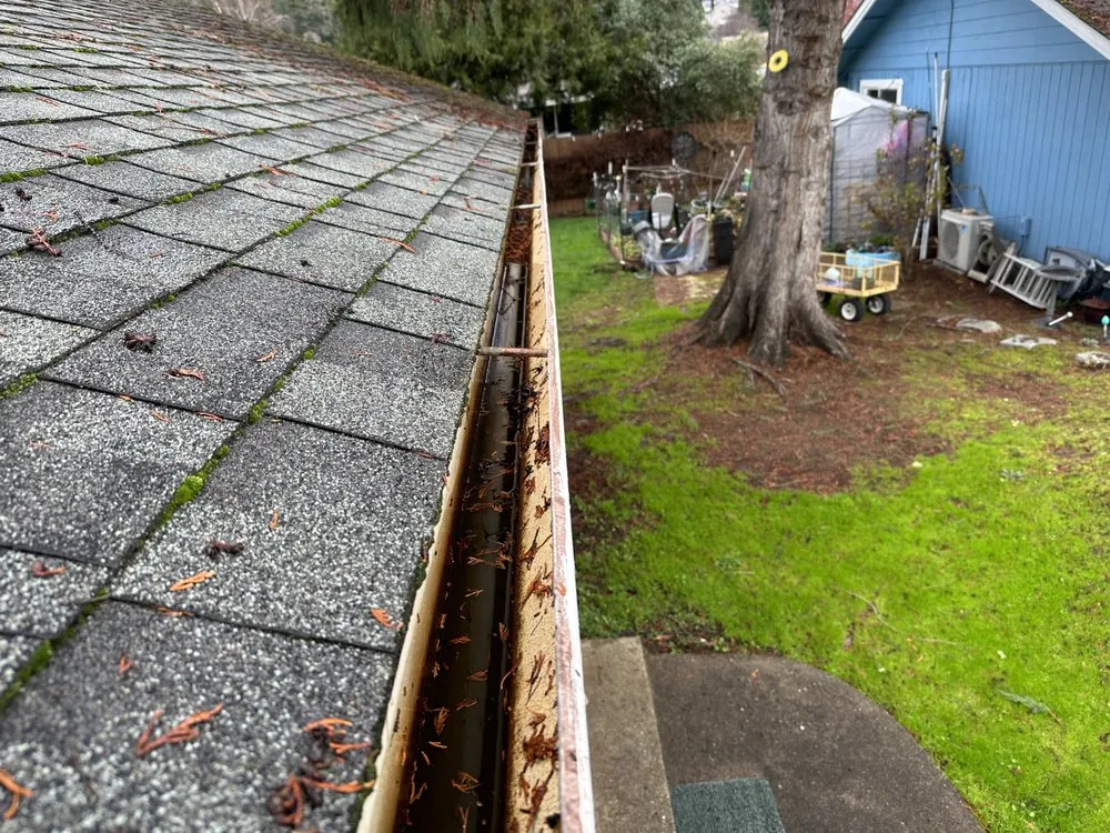 Local lawn care service for beautiful yards across Sutherlin, OR - R&C Home Maintenance