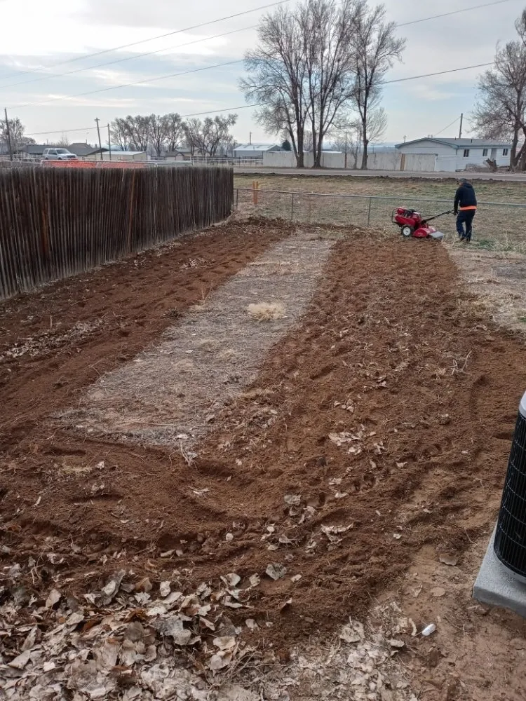 Professional lawn mowing service in Evans, CO by RC Landscape & Welding