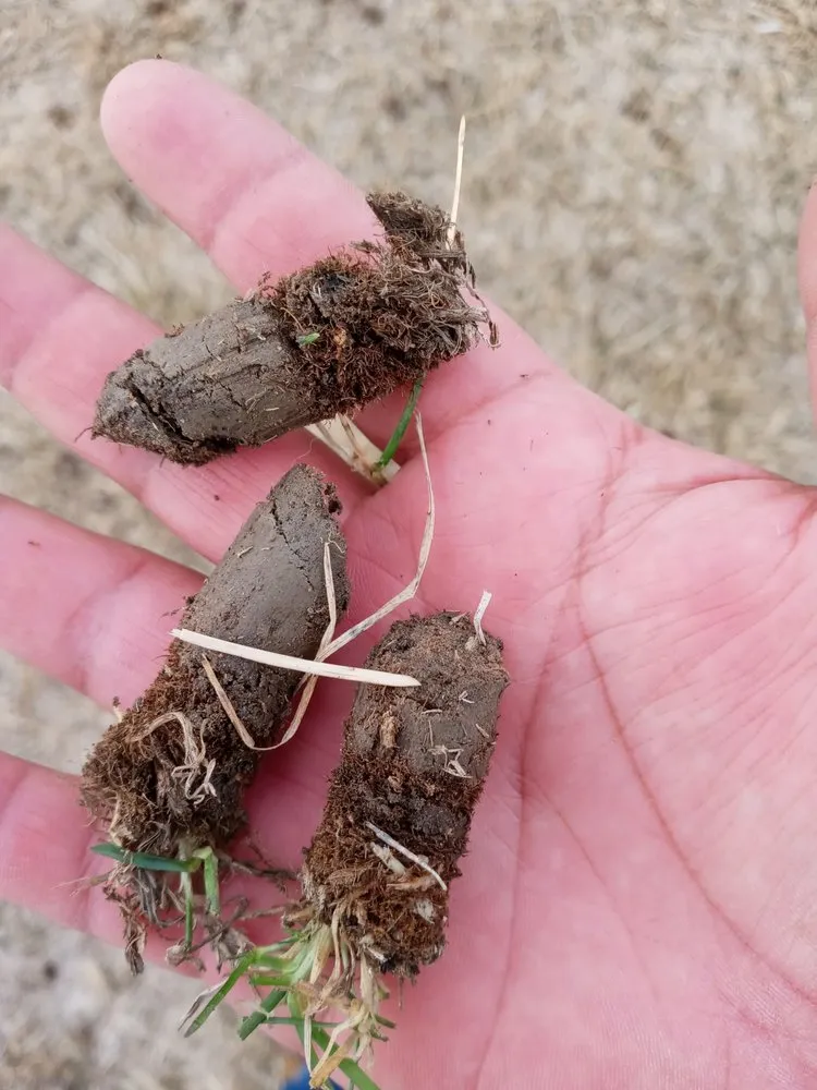 Reliable outdoor landscaping for residential properties across Evans, CO - RC Landscape & Welding