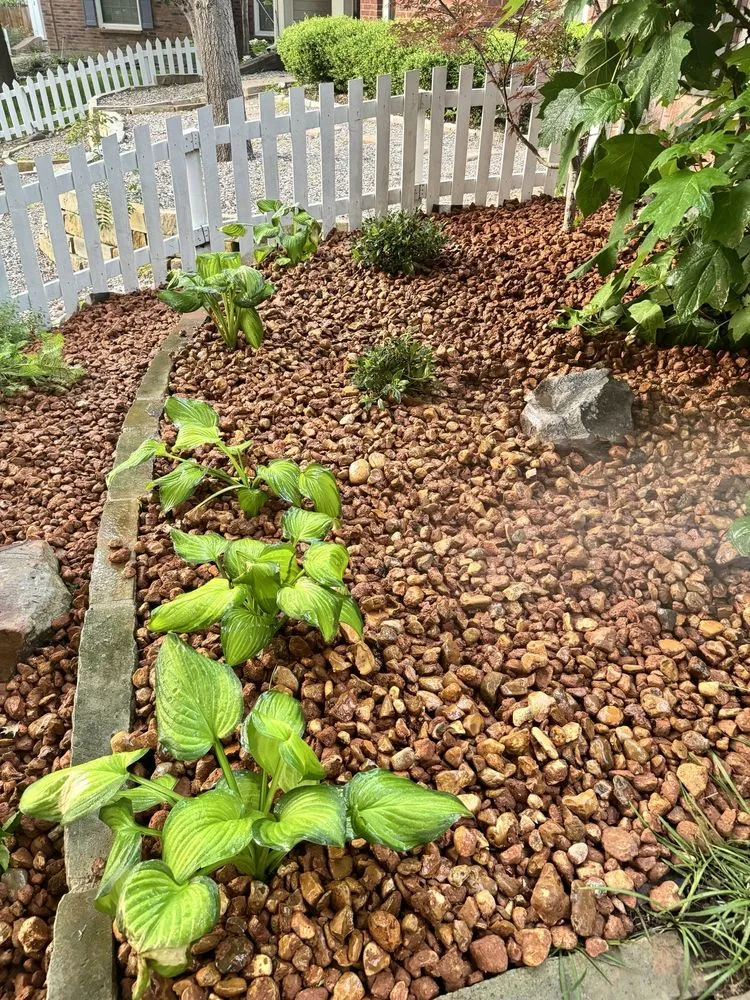 Top-rated residential landscaping with custom design across Allen, TX - RC Landscape