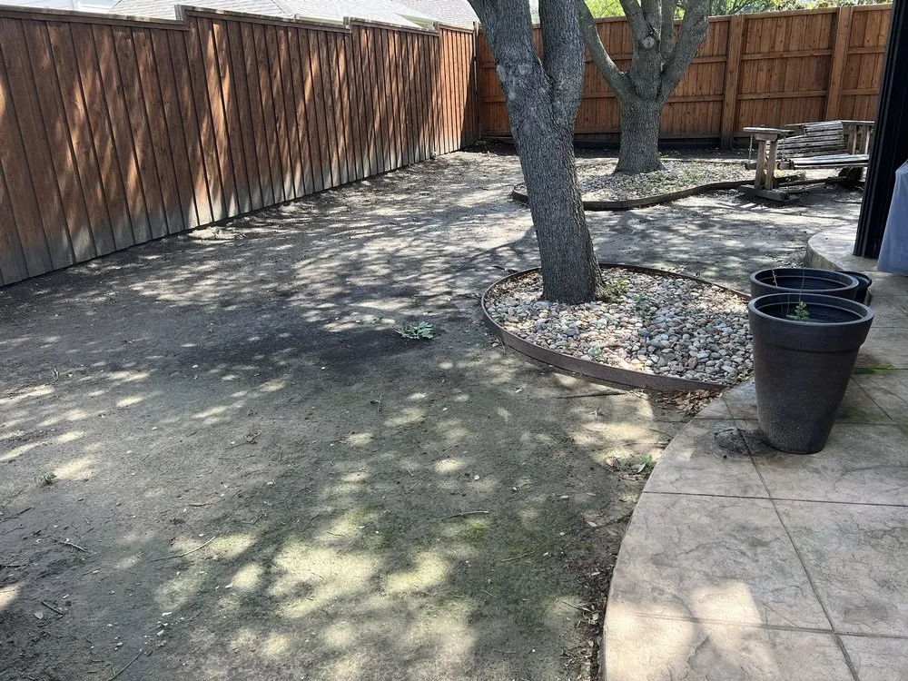 Custom yard cleanup service for homes across Allen, TX - RC Landscape