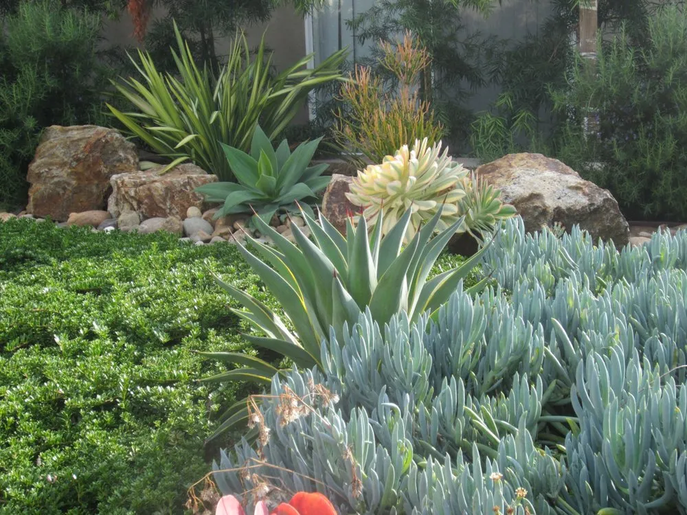Custom outdoor landscaping for residential properties in San Clemente, CA by RC Landscape Construction & Design