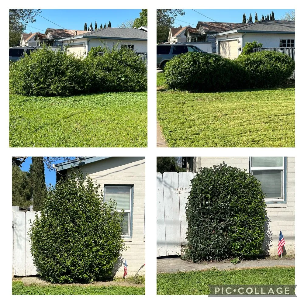 Top-rated landscaping services in King City, CA by RC Landscape Contractor