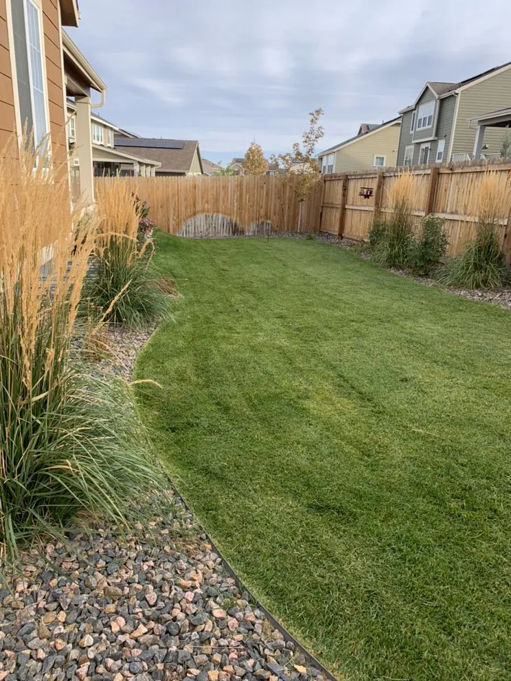 Trusted landscaping services in Castle Rock, CO by RC Landscape Design & Waterfalls